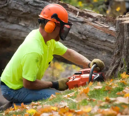 tree services Columbiana